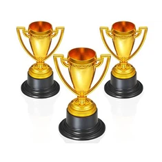 كأس الكأس لجائزة الحرف الرياضية العتيقة